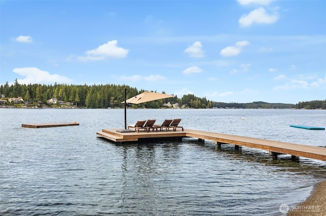 1062 E Mason Lake Dr S, Grapeview, WA 98546 - photo 28