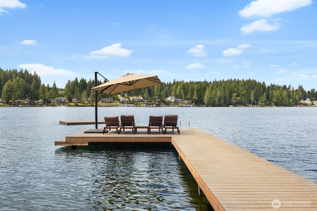1062 E Mason Lake Dr S, Grapeview, WA 98546 - photo 29
