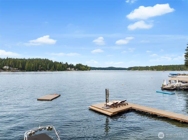 1062 E Mason Lake Dr S, Grapeview, WA 98546 - photo 31