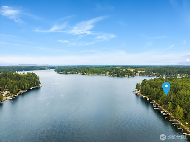 1062 E Mason Lake Dr S, Grapeview, WA 98546 - photo 36