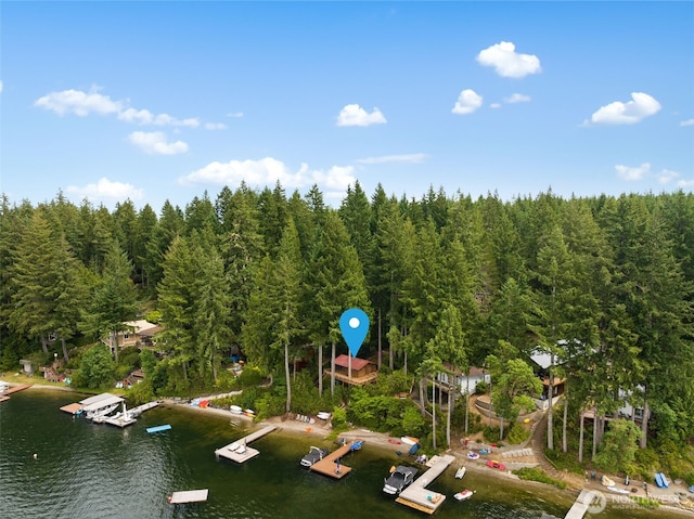 1062 E Mason Lake Dr S, Grapeview, WA 98546 - photo 37