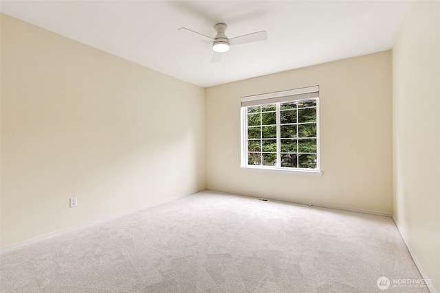 6002 Capitol Forest Ct SW, Olympia, WA 98512 - photo 24