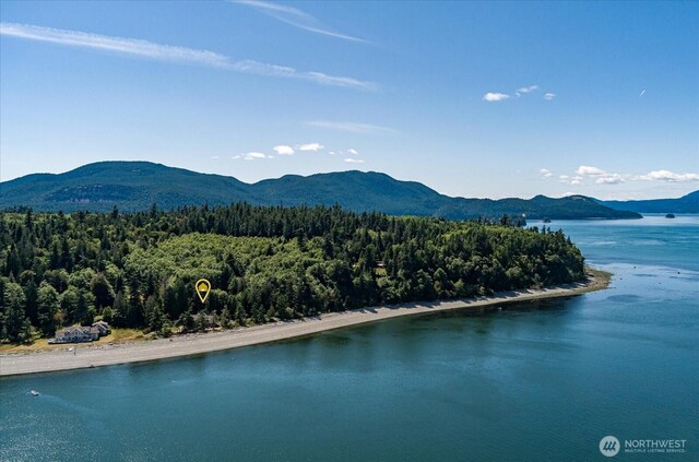 4079 Forest Ln, Anacortes, WA 98221 - photo 4