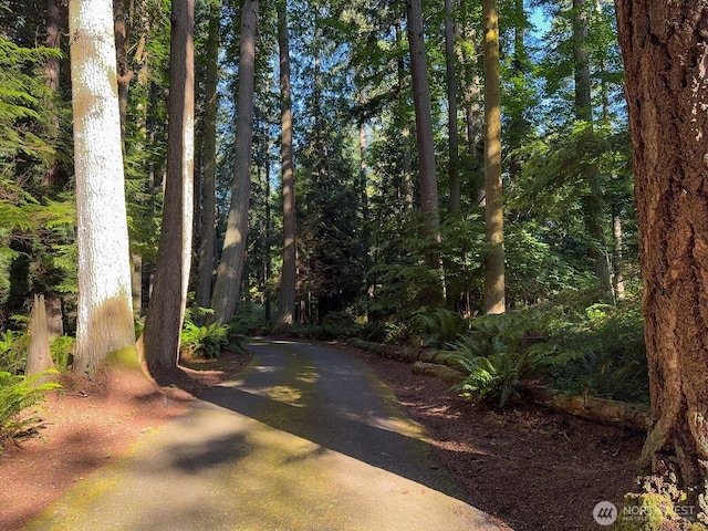 4079 Forest Ln, Anacortes, WA 98221 - photo 35