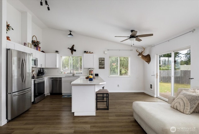 1664 Allyson St, Oak Harbor, WA 98277 - kitchen featuring appliances with stainless steel finishes, a kitchen bar, open floor plan, lofted ceiling, and ceiling fan