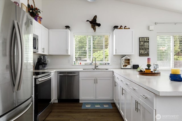 1664 Allyson St, Oak Harbor, WA 98277 - kitchen with stainless steel appliances, a peninsula, light countertops, dark wood-style flooring, and plenty of natural light