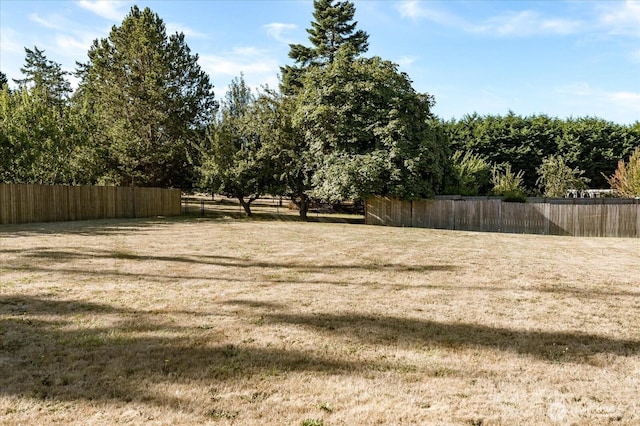1664 Allyson St, Oak Harbor, WA 98277 - view of yard