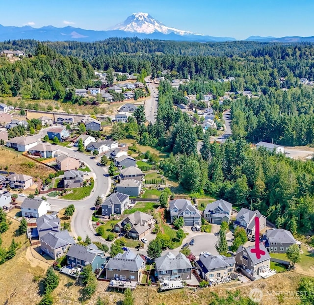 16902 110 Street Ct E, Bonney Lake, WA 98391 - photo 3