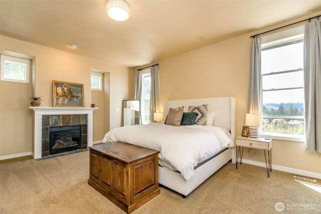 16902 110 Street Ct E, Bonney Lake, WA 98391 - photo 18