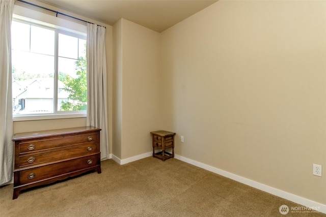 16902 110 Street Ct E, Bonney Lake, WA 98391 - photo 25