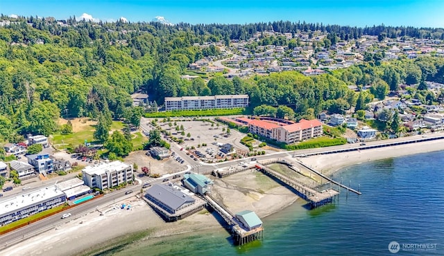 28313 Redondo Way S Unit 304, Des Moines, WA 98198 - aerial view of a large body of water and a heavily wooded area