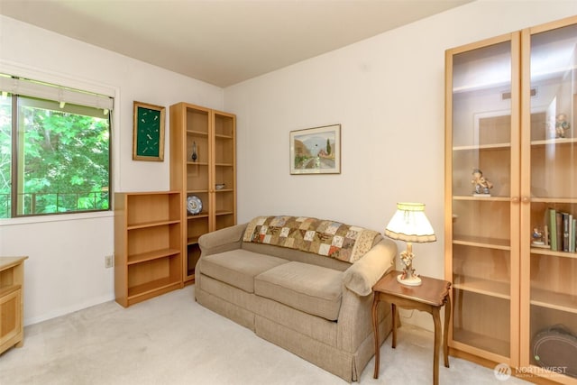 28313 Redondo Way S Unit 304, Des Moines, WA 98198 - living area featuring carpet and baseboards