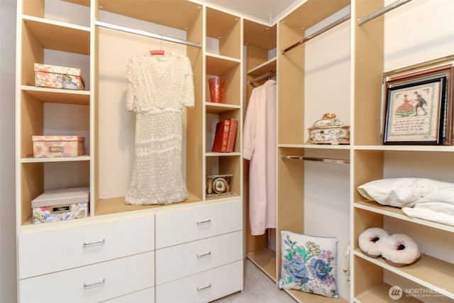 28313 Redondo Way S Unit 304, Des Moines, WA 98198 - view of walk in closet