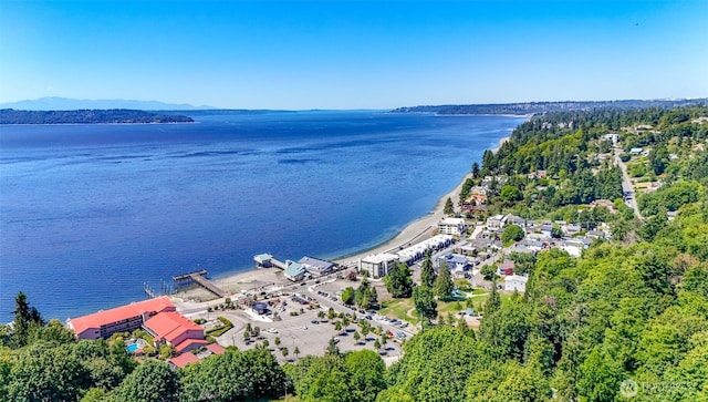 28313 Redondo Way S Unit 304, Des Moines, WA 98198 - bird's eye view of a large body of water