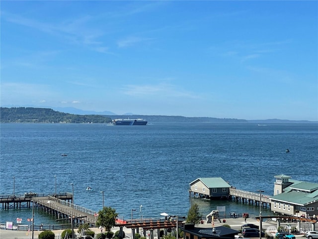 28313 Redondo Way S Unit 304, Des Moines, WA 98198 - photo 31