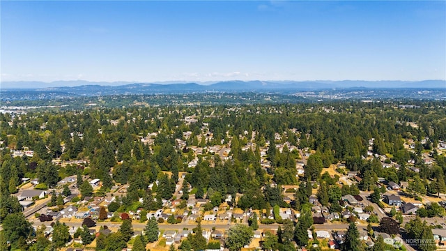 13018 7th Ave S, Seattle, WA 98168 - photo 33