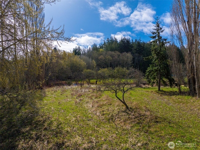 4011 Commercial Ave, Anacortes, WA 98221 - photo 6