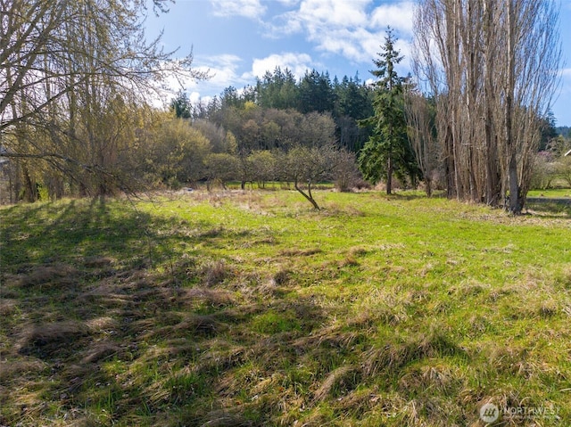 4011 Commercial Ave, Anacortes, WA 98221 - photo 7