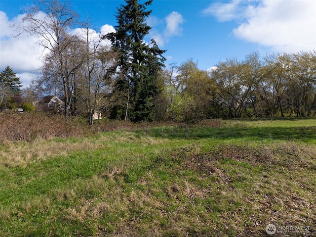 4011 Commercial Ave, Anacortes, WA 98221 - photo 10
