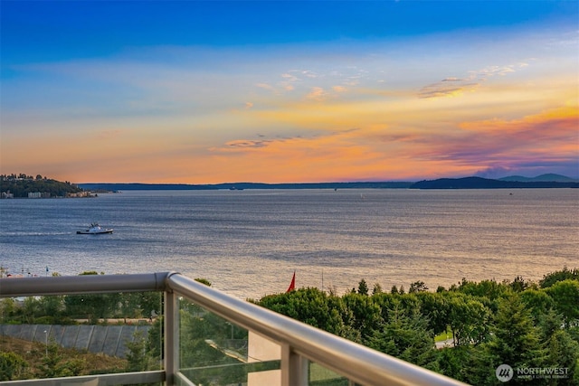 2929 1st Ave Unit 600, Seattle, WA 98121 - photo 30