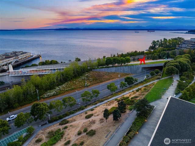 2929 1st Ave Unit 600, Seattle, WA 98121 - photo 31