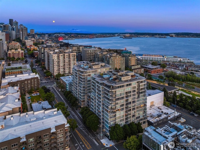 2929 1st Ave Unit 600, Seattle, WA 98121 - photo 32