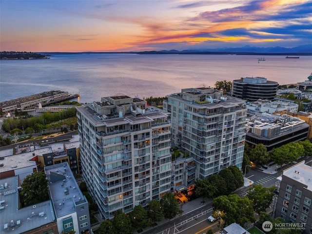 2929 1st Ave Unit 600, Seattle, WA 98121 - photo 36