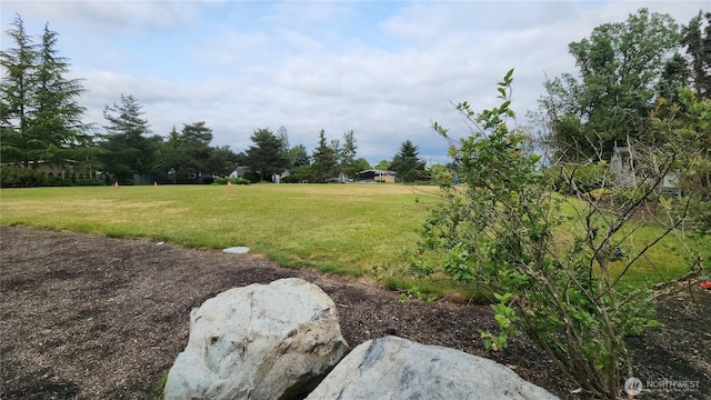 31600 126th Ave SE Unit 91, Auburn, WA 98092 - photo 16