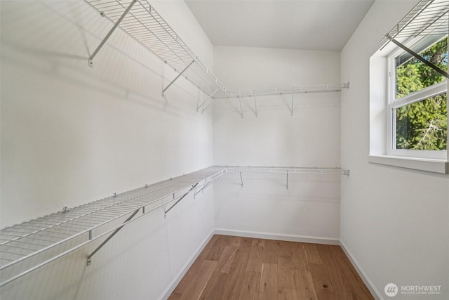 14427 156th Ave SE, Renton, WA 98059 - walk in closet featuring wood finished floors