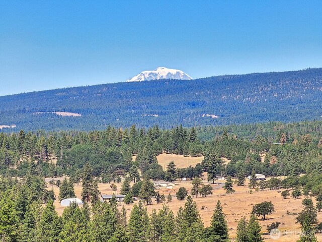 505 Woodland Rd, Goldendale, WA 98620 - mountain view with a forest