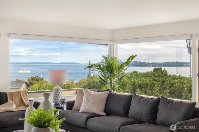 5621 SW Manning St, Seattle, WA 98116 - living room featuring a water view