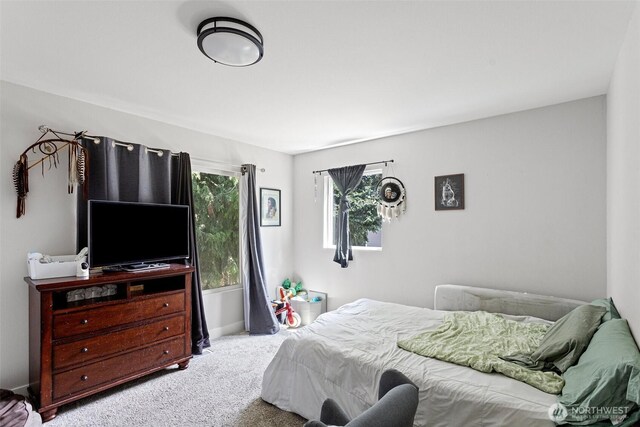 18830 108th Ave SE, Renton, WA 98055 - photo 15
