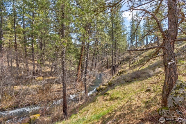 0 Box Canyon Rd, Goldendale, WA 98620 - photo 1