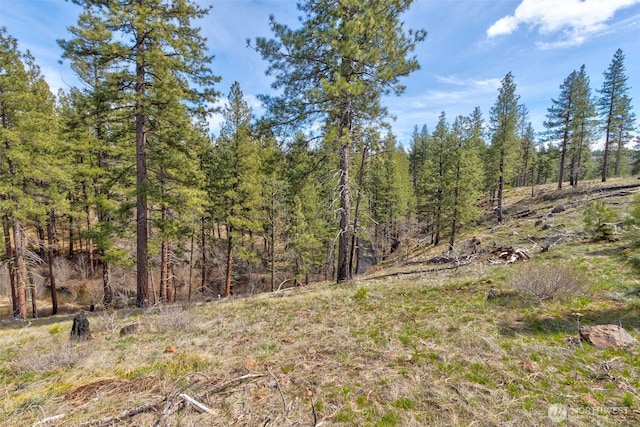 0 Box Canyon Rd, Goldendale, WA 98620 - photo 3