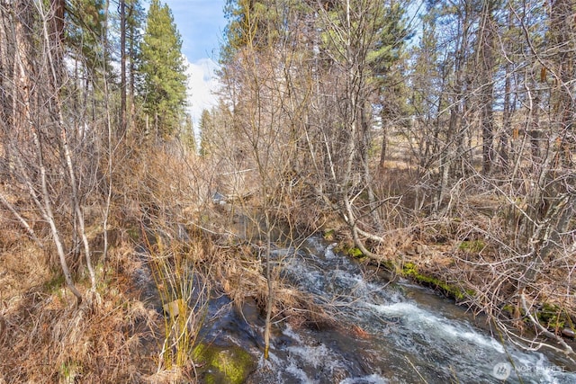 0 Box Canyon Rd, Goldendale, WA 98620 - photo 4