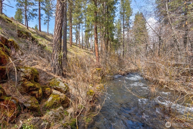 0 Box Canyon Rd, Goldendale, WA 98620 - photo 6