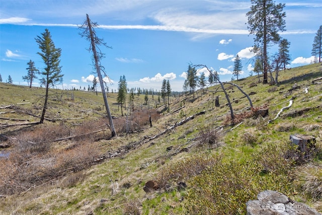 0 Box Canyon Rd, Goldendale, WA 98620 - photo 7