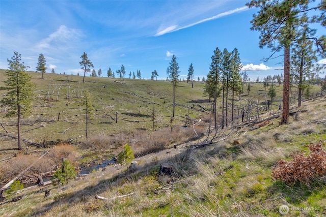 0 Box Canyon Rd, Goldendale, WA 98620 - photo 8