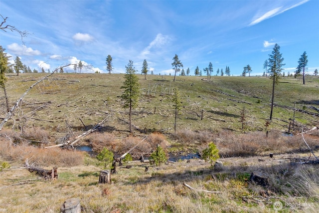 0 Box Canyon Rd, Goldendale, WA 98620 - photo 9