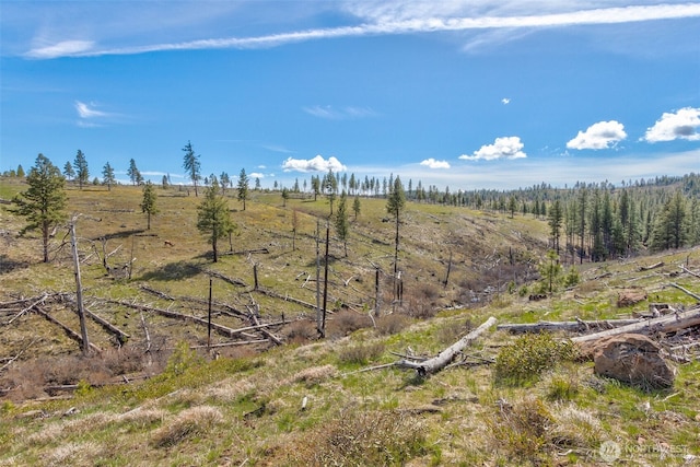 0 Box Canyon Rd, Goldendale, WA 98620 - photo 10