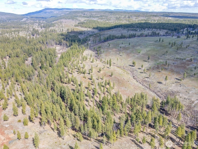 0 Box Canyon Rd, Goldendale, WA 98620 - photo 11