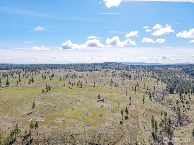 0 Box Canyon Rd, Goldendale, WA 98620 - photo 16