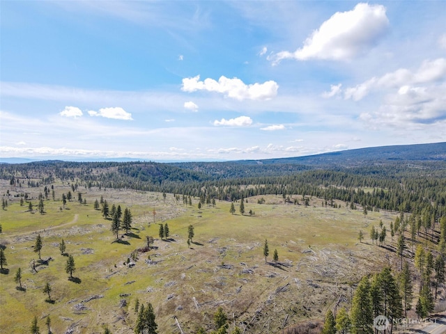 0 Box Canyon Rd, Goldendale, WA 98620 - photo 20
