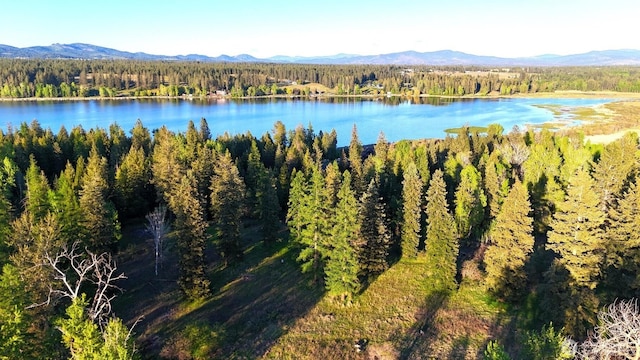 2100BLK E Eloika Lake Rd, Deer Park, WA 99006