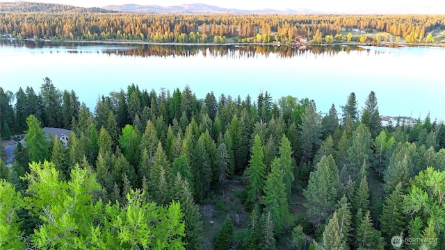 2100BLK E Eloika Lake Rd, Deer Park, WA 99006 - photo 3