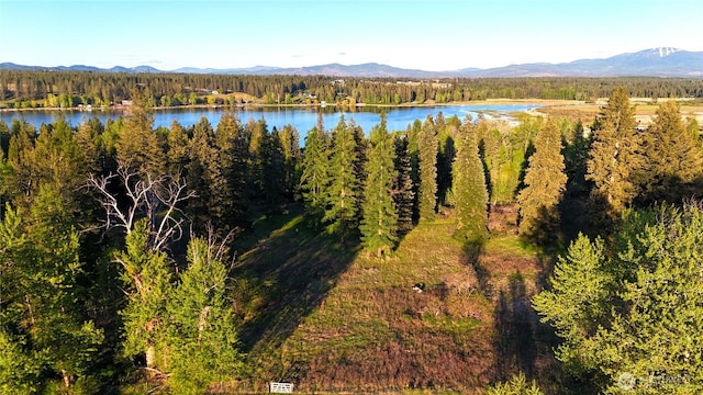 2100BLK E Eloika Lake Rd, Deer Park, WA 99006 - photo 4