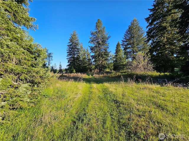 2100BLK E Eloika Lake Rd, Deer Park, WA 99006 - photo 5