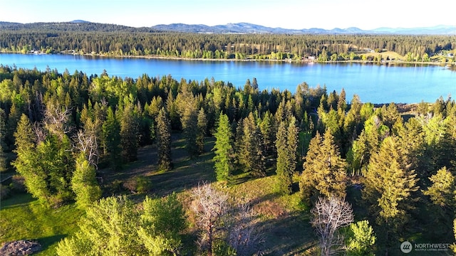 2100BLK E Eloika Lake Rd, Deer Park, WA 99006 - photo 11