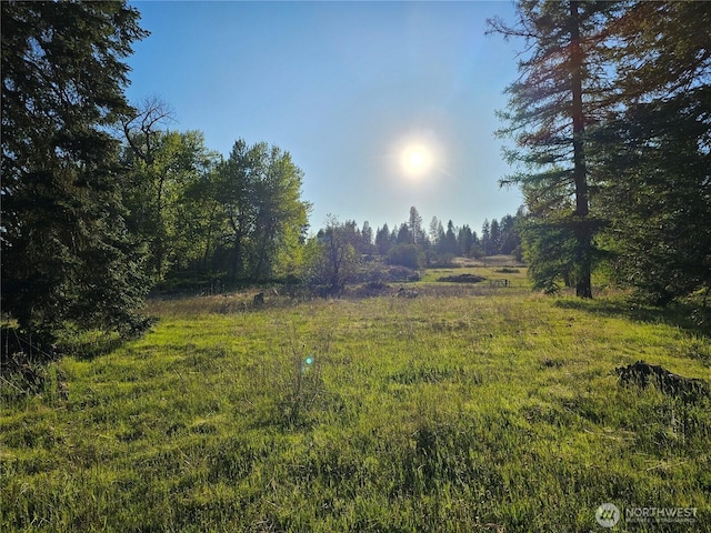 2100BLK E Eloika Lake Rd, Deer Park, WA 99006 - photo 15