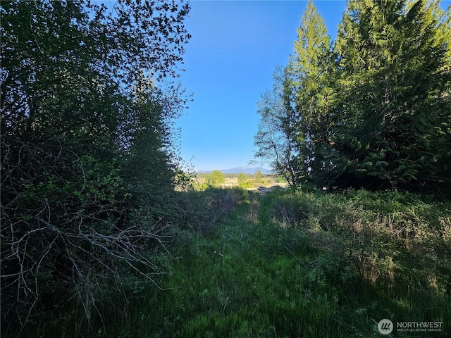 2100BLK E Eloika Lake Rd, Deer Park, WA 99006 - photo 16